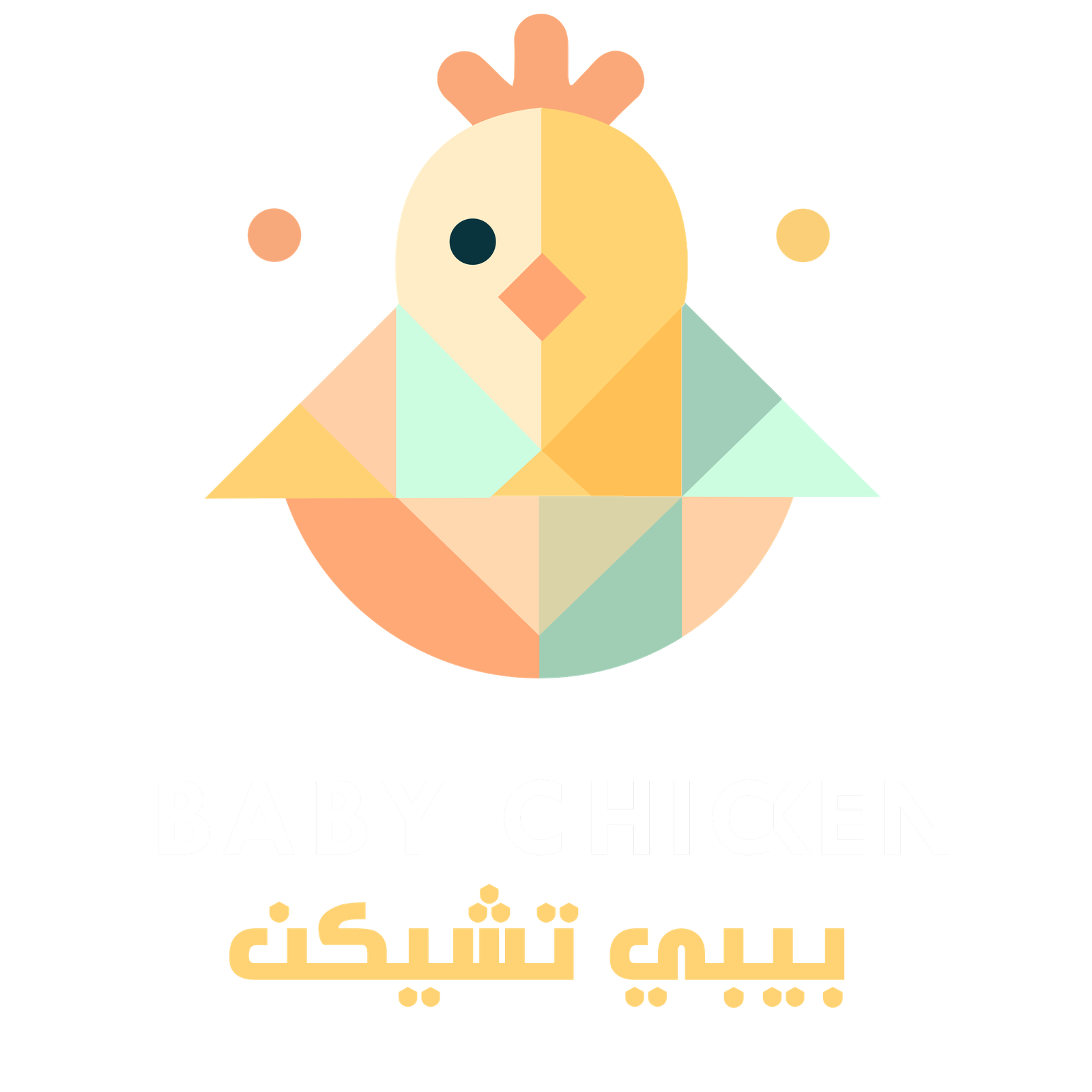 Baby Chicken